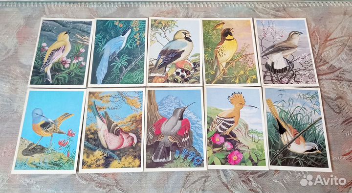 Открытки СССР 1960-х - 1970-х годов Искусство