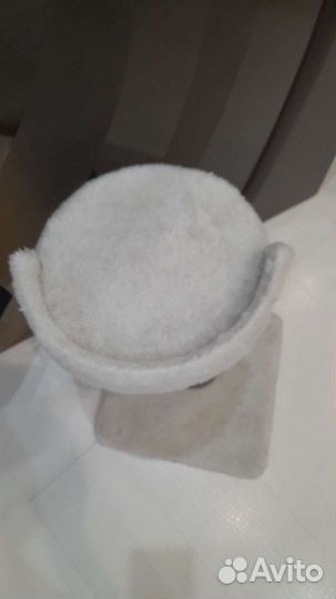 Когтеточка