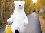 Ростовой аэрокостюм белого медведя 2,6 метра