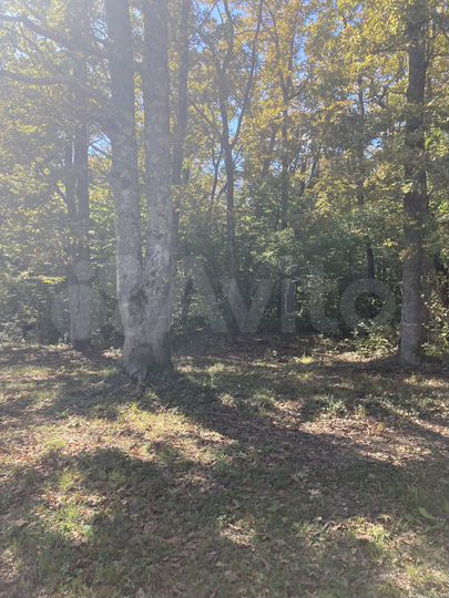 Участок 15 сот. (ИЖС)