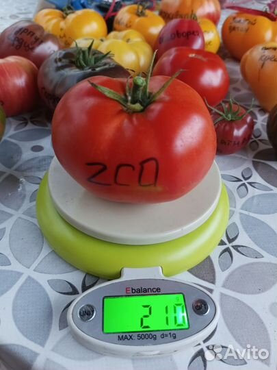 Семена томатов