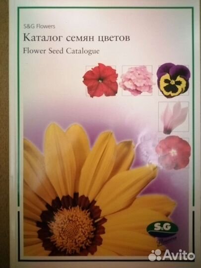 Каталог одно летних цветов