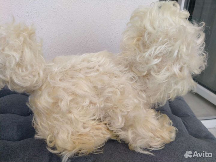 Игрушка советская, СССР, болонка