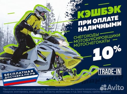 Снегоход irbis SF200L NEW 23/24