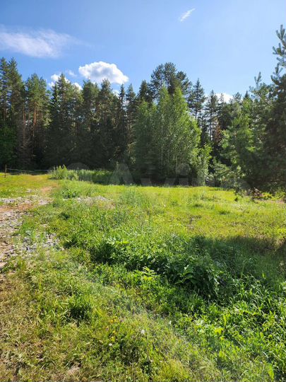 Участок 14,1 сот. (ИЖС)