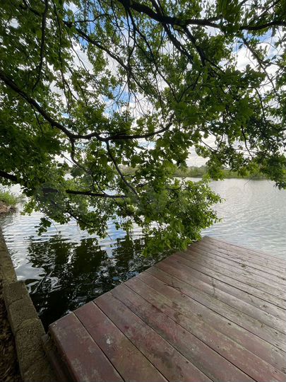 Участок 5 сот. (ИЖС)