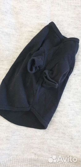 Одежда для маленьких собак