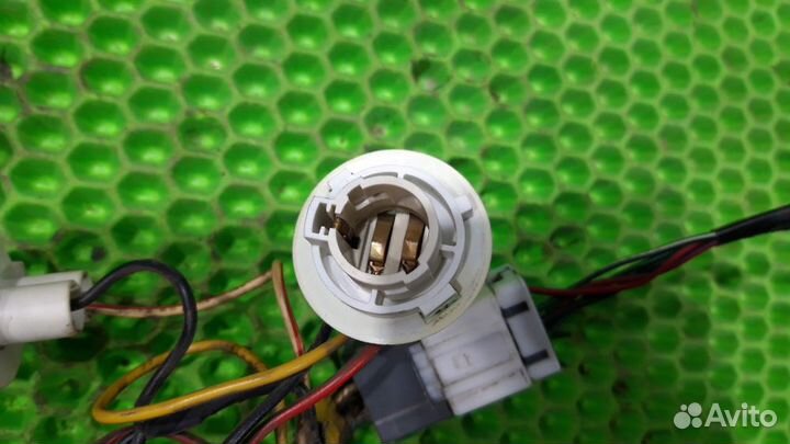 Проводка заднего фонаря Nissan Almera Classic