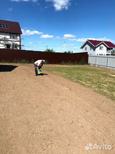 Газон посевной, озеленение