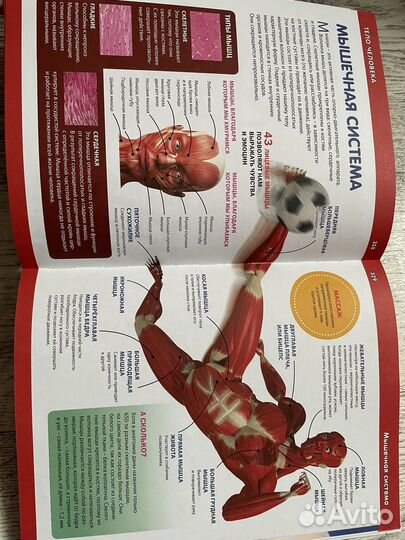 Энциклопедия