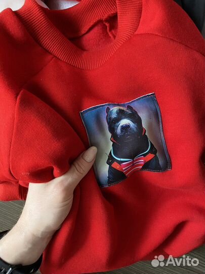 Пошив одежды для собак