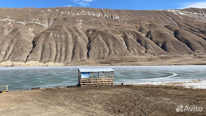 Заказ микроавтобуса с водителем