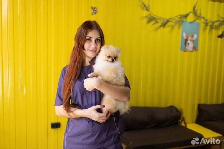 Индивидуальное обучение грумингу с 0