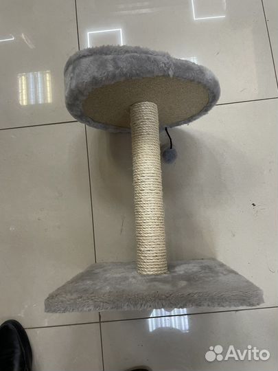 Когтеточка