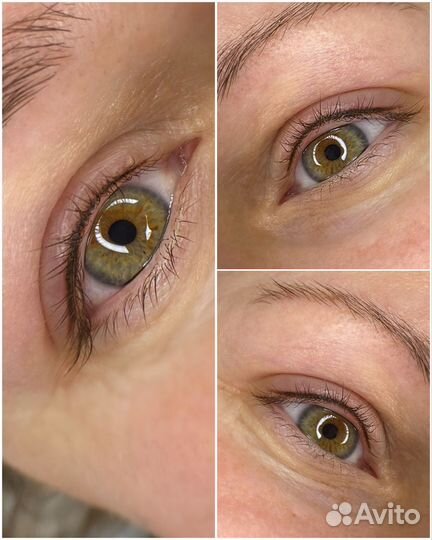 Мастер бровист