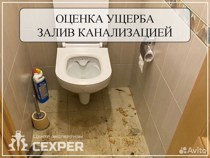 Оценка ущерба после залива