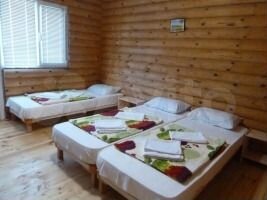 Дом 270 м² на участке 6 сот.