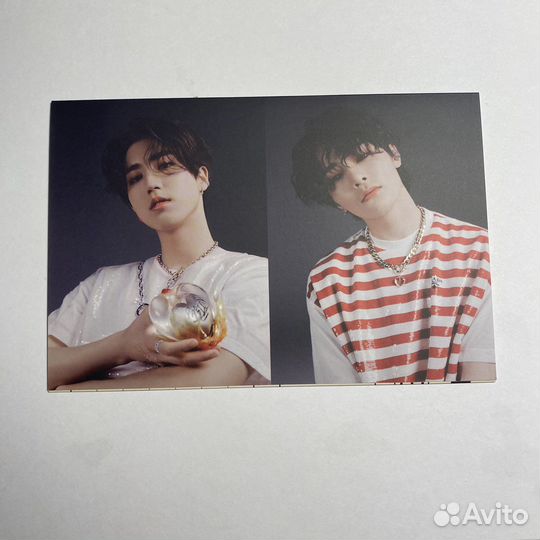 Гармошки stray kids