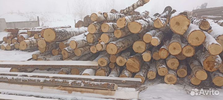 Береза