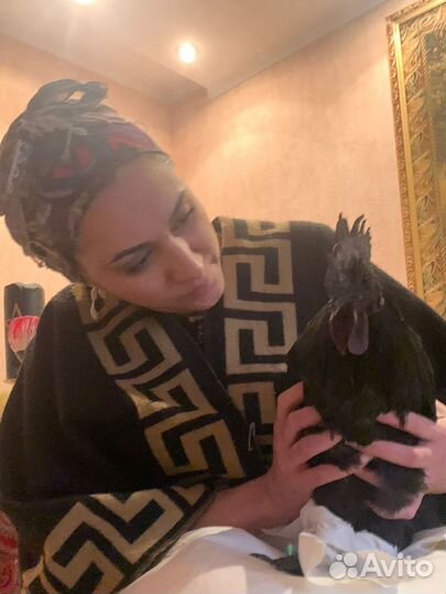 Гадание Магия Приворот Таролог Верну мужа Гадалка