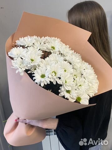 Букет ромашек/ромашковые хризантемы