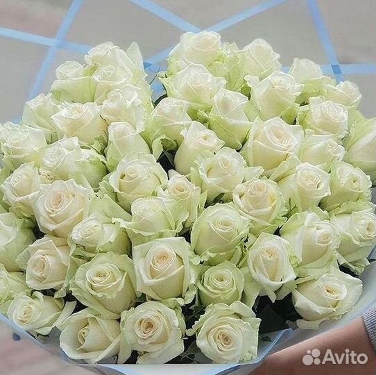 Розы Букеты Цветы Розы 31 101 151 201 Доставка