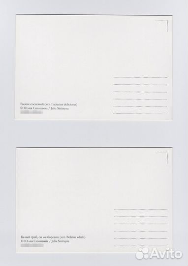 Грибы набор Синицына посткроссинг мухомор сморчок