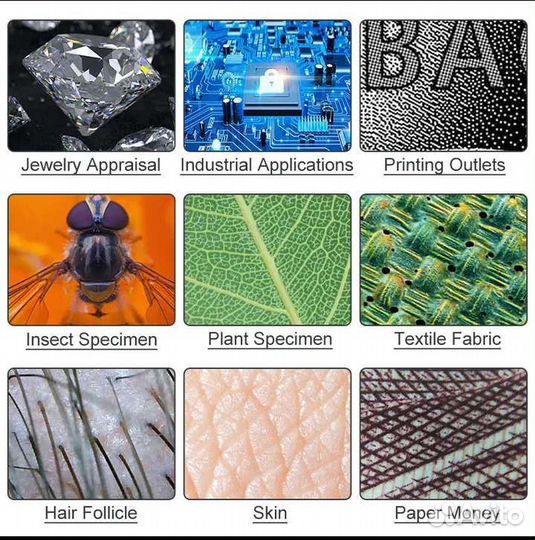 Электронный микроскоп
