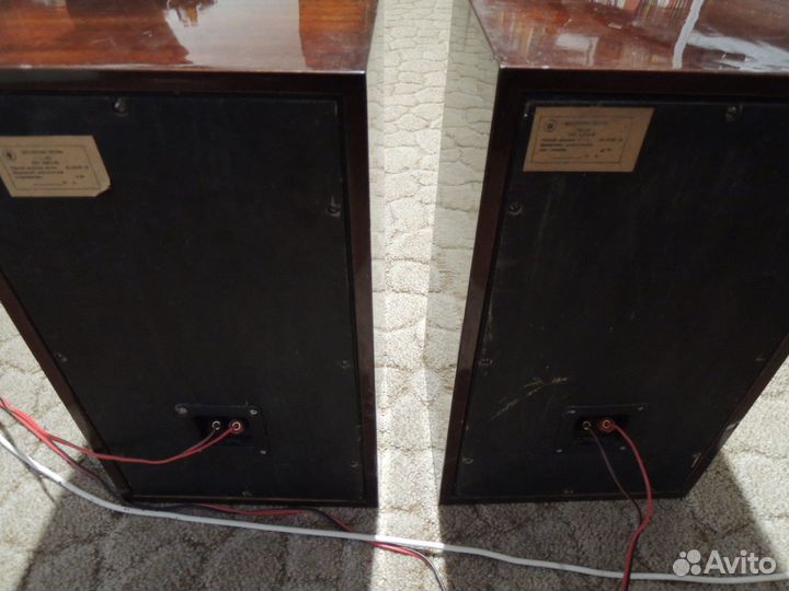 Колонки вега 25ас 302 / S-30A