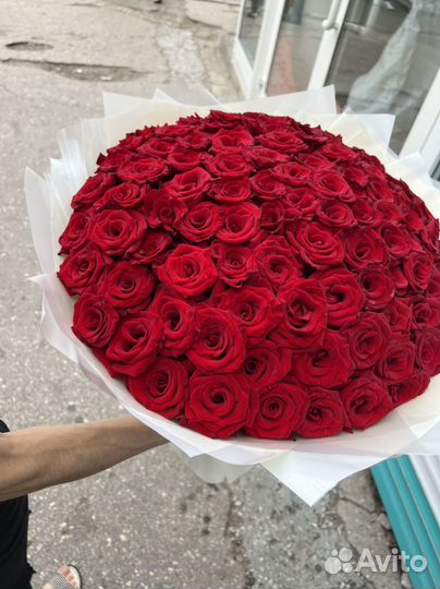 Крымская Роза