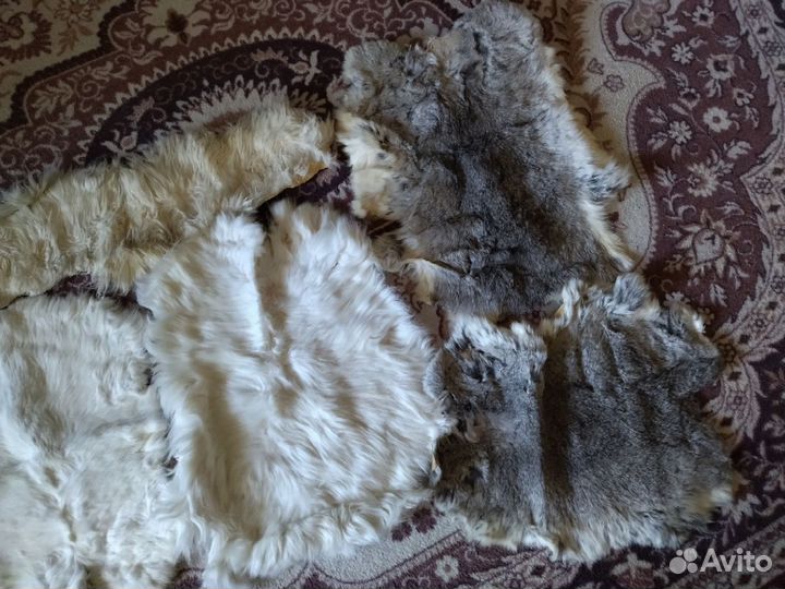 Шкурки кролика