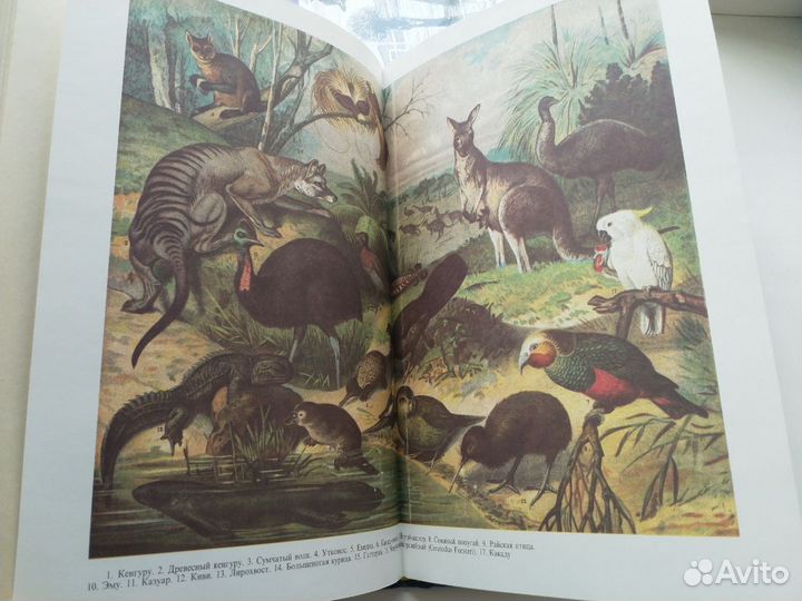 Жизнь животных, в 3 томах (А.Э.Брэм)