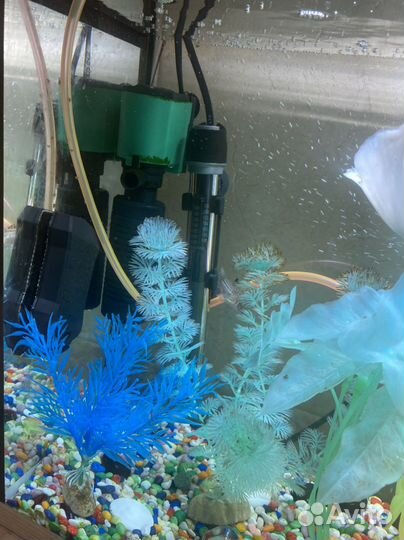 Аквариум под ключ 10 л, фильтр