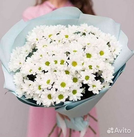 Хризантема