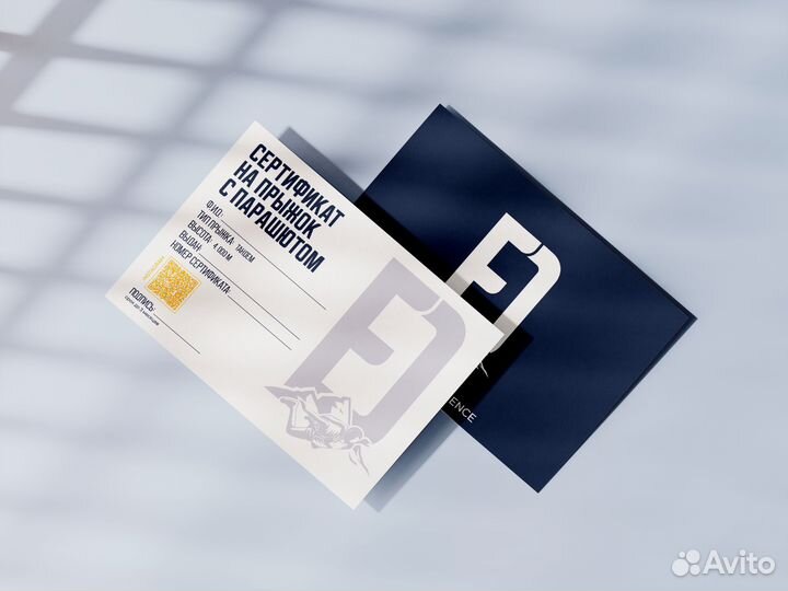 Графический и веб дизайнер