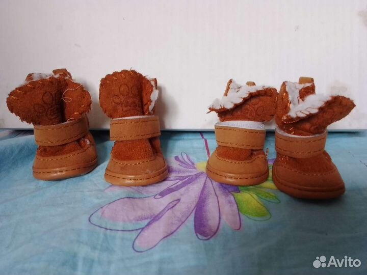 Ботинки для маленьких собак