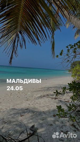 Тур на мальдивы