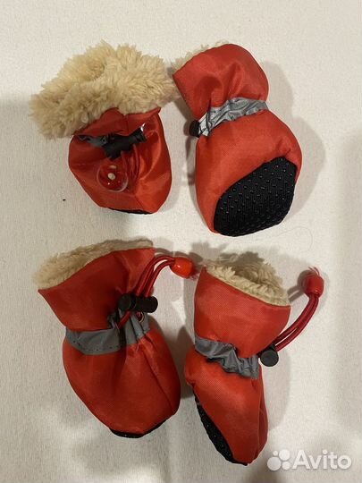 Товары для животных