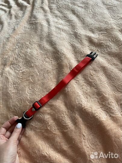 Ошейник для собак