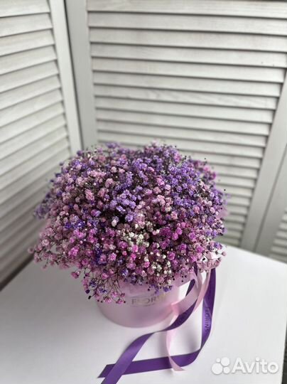 Гипсофила в коробке