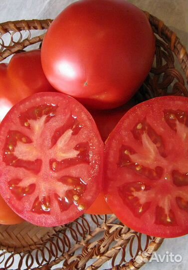 Семена Томата 