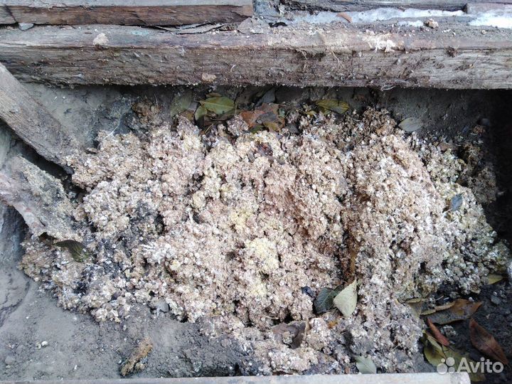 Навоз перепелиный