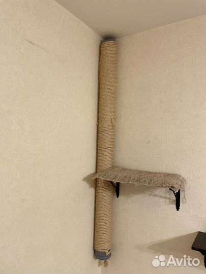 Когтеточка