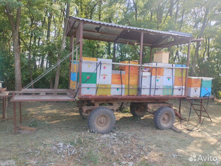 Ульи прицепы