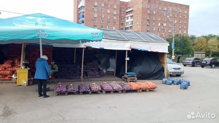 Продам картофель
