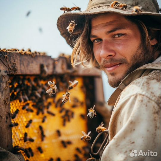 Мёд натуральный с Алтая оптом min 16kg