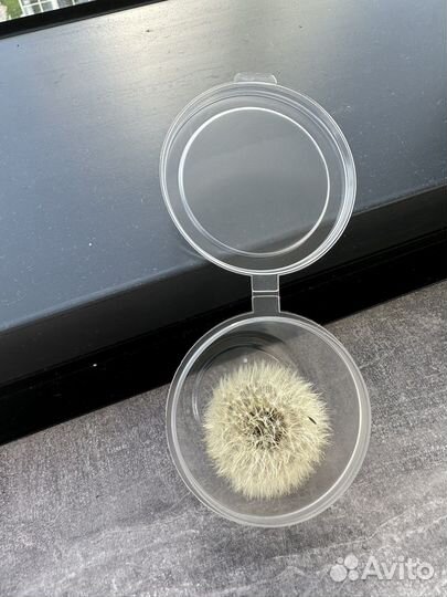 Одуванчик сушеный сухоцветы