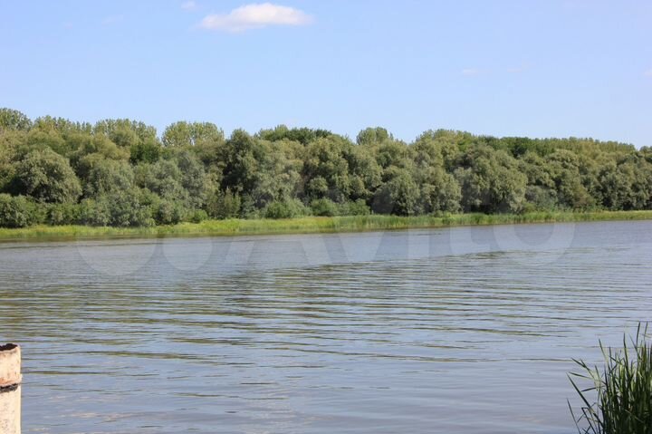 Участок 60 сот. (СНТ, ДНП)