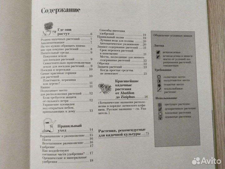 Декоративные растения