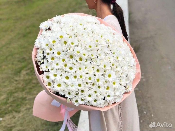 Большой букет ромашек